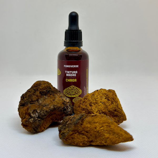 Chaga