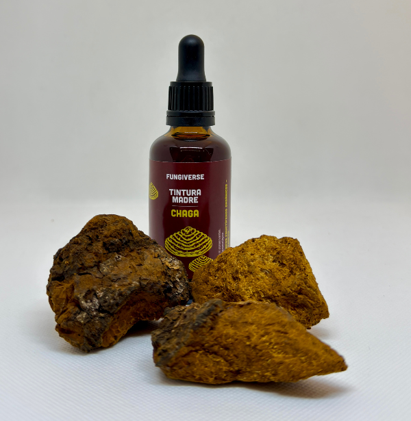 Chaga