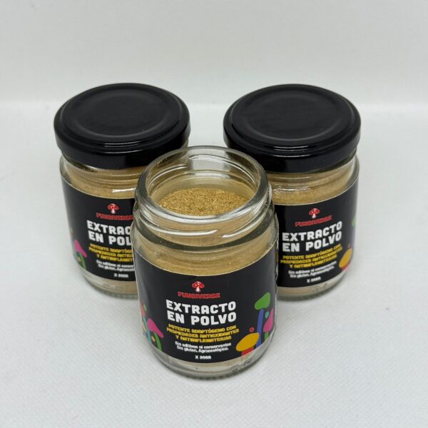 Maitake - Pulverizados