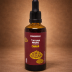 Chaga – Tinturas madre