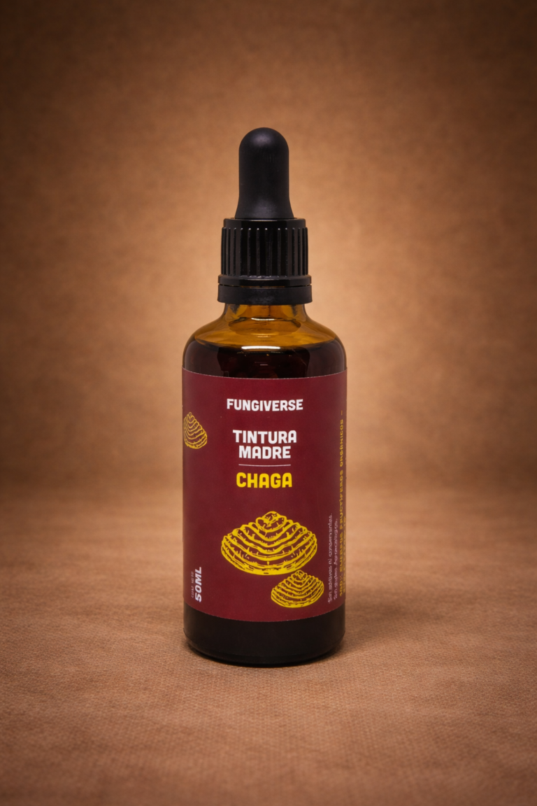 Chaga - Tinturas madre